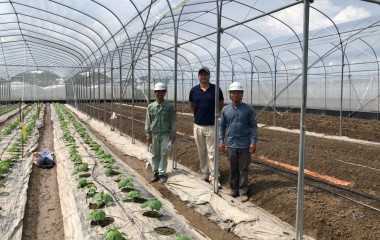 Thai Son Breeding Service Cooperative - Safe Vegetable, Tuber and Fruit Production Area